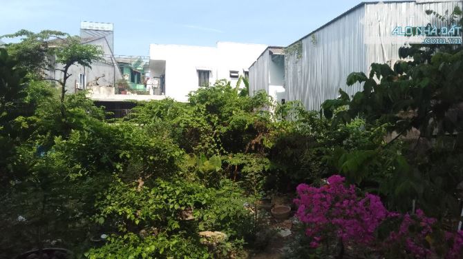 ⭐️⭐️⭐️⭐️⭐️ Bán đất kiệt Bà Triệu, TP. Huế phù hợp xây dựng dãy trọ, homestay,…