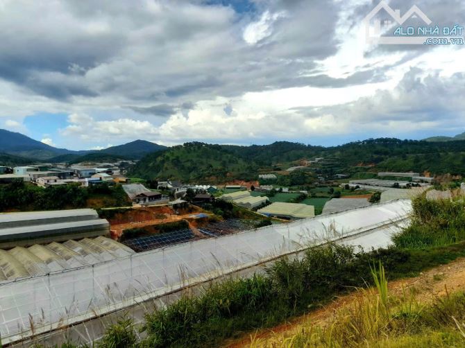 Bán đất nông nghiệp view đẹp đồi thông khu dân cư trung tâm Đà Lạt, đi chợ đêm 20p