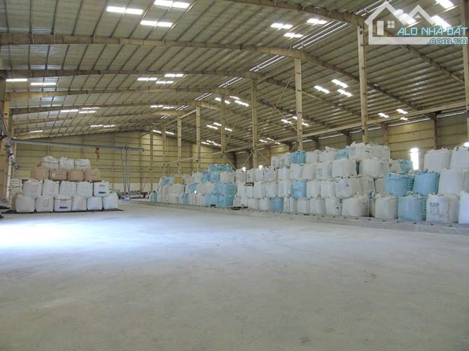 BÁN ĐẤT, KHO, NHÀ XƯỞNG 939m2 P.TÂN BIÊN, SỔ HỒNG RIÊNG, ĐƯỜNG RỘNG 6m (X008) - 1