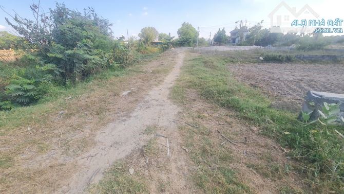 Đất Đẹp Nở Hậu 881,6m² Gần Biển LaGi, Quy Hoạch ONT, Sổ Sẵn, Giá Rẻ Đầu Tư Ngay - 1