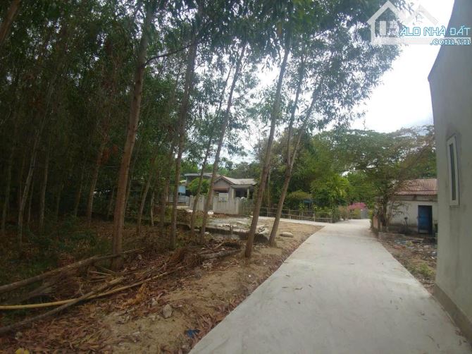 📢Cho thuê đất kiệt 112 Minh Mạng - 1