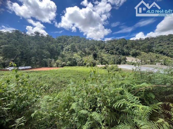 BÁN 13.000M2 (1,3HEC) QUY HOẠCH FULL XÂY DỰNG- CÓ SUỐI BAO QUANH VIEW RỪNG THÔNG CỰC ĐẸP - 1