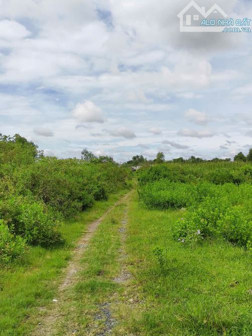 CẦN BÁN LÔ ĐẤT 1334M2 LONG THỚI, NHÀ BÈ, SỔ SÁCH ĐÀNG HOÀNG, GIÁ 1,8TR/M2 - 1