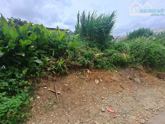 Bán đất xây dựng pq. Phường 12, Đà Lạt( Phường Lâm Viên mới) - 1