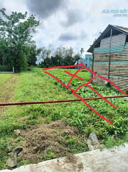 Chính chủ cần bán lô đất 88m2. Đại Cường đại lộc quảng nam.đà nẵng - 1