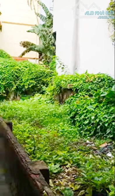 MẢNH ĐẤT CỰC HIẾM ÂU CƠ, GẦN XUÂN DIỆU, 3 THOÁNG, 2 BƯỚC RA OTO TẢI TRÁNH|DT45M2_11,5TỶ - 1
