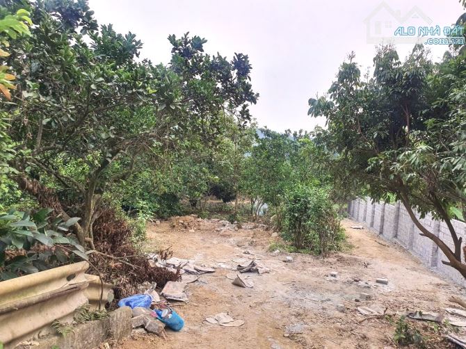CHUYỂN NHƯỢNG MẢNH ĐẤT ĐẸP TẠI KIM BÔI – HÒA BÌNH - 1
