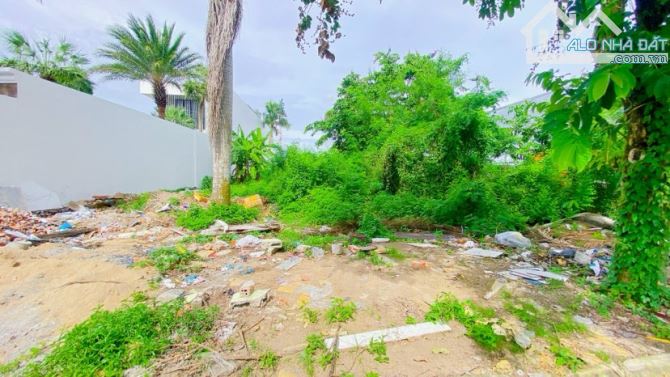 Cho thuê đất 1.500 m2  khu biệt thự Cồn Khương 30 triệu - 1