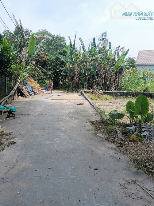 Đất gần Trường ông ích Khiêm ủy ban huyện Hòa Vang - 1