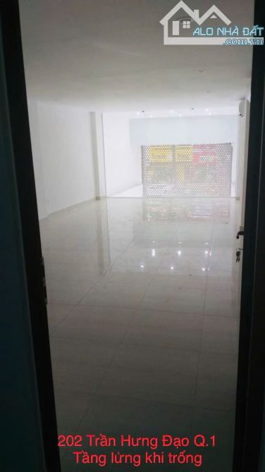 Bán toà Building siêu vị trí MT Trần Hưng Đạo Q.1 - 5.1x20m Hầm 7 tầng HĐT 150tr giá 65 tỷ - 12