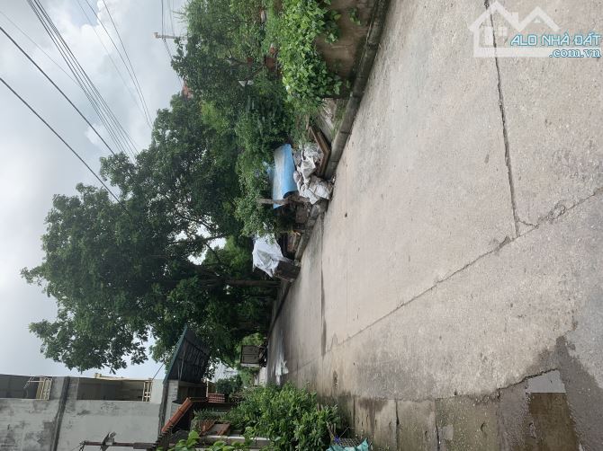 Hơn 6 tỷ , đất đông trù, sát cầu đông trù, gần vin cổ loa, cầu tứ liên - 2