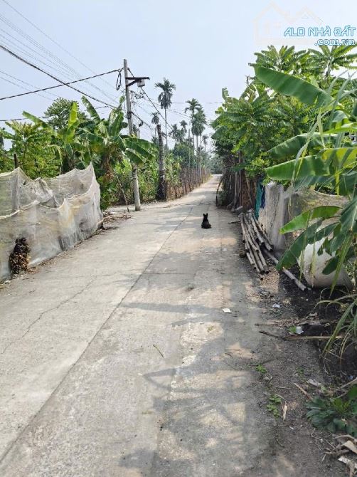 💎ĐẤT SHR NGANG 5M HẺM XE HƠI ĐƯỜNG THẠNH XUÂN 25 QUẬN 12 CHỈ 1,55 TỶ- DT 97m2 (5x19,5) - 2