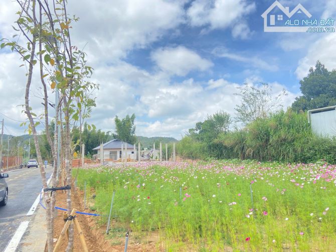 Giá F0 Chỉ Hơn 3 Tỷ Cho Lô Đất 270m2 Trung Tâm Đức Trọng - Gần Sân Bay - Ven Đà Lạt - 2