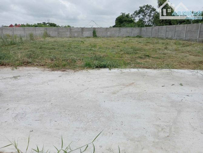 500m đất vườn mặt tiền đường Ngõ Xóm Phước Hậu Cần Giuộc - 2