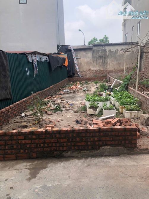 Bán 40m2 đất Tam Hiệp - Thanh Trì, ô tô đỗ cửa, siêu hiếm, gần Cầu Tó - 2