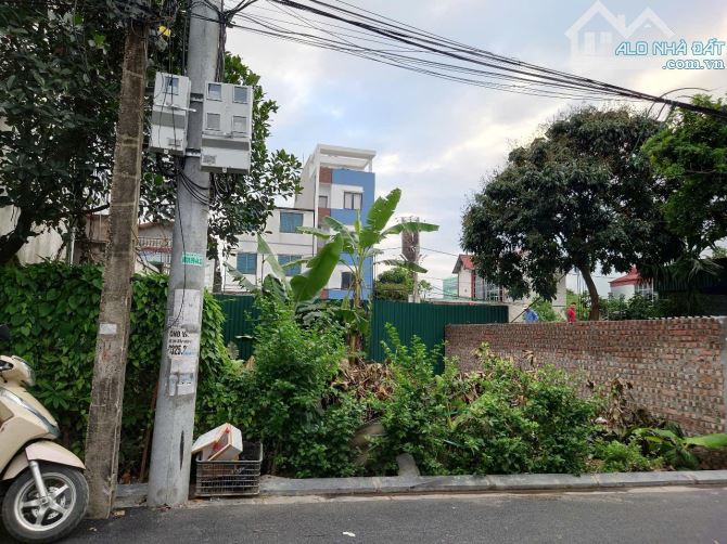 Bán đất Hậu Dưỡng Kim Chung 46m2 ở hay cho thuê đều đẹp - 2