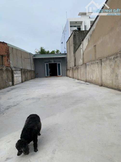 Chính chủ cần bán hoặc cho thuê mặt tiền kinh doanh phạm thị giây hóc môn . - 3