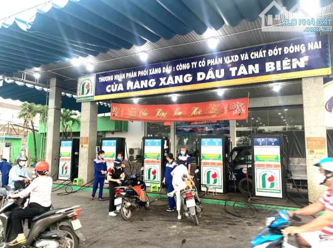 BÁN ĐẤT, KHO, NHÀ XƯỞNG 939m2 P.TÂN BIÊN, SỔ HỒNG RIÊNG, ĐƯỜNG RỘNG 6m (X008) - 3