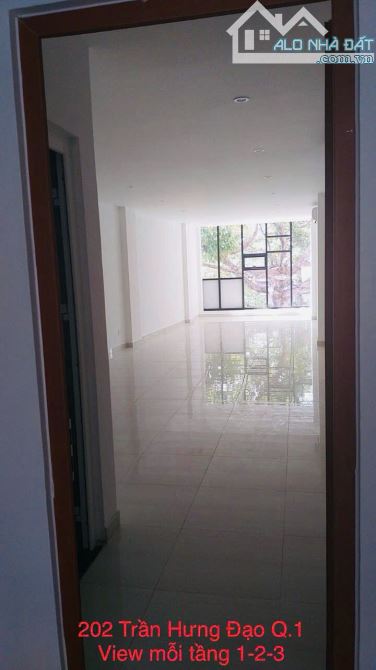 Bán toà Building siêu vị trí MT Trần Hưng Đạo Q.1 - 5.1x20m Hầm 7 tầng HĐT 150tr giá 65 tỷ - 3