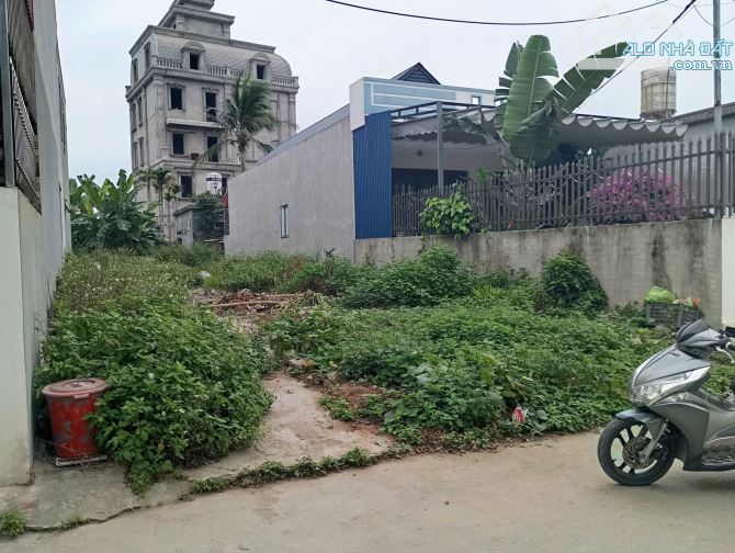 Chuyển nhượng lô đất 193,8m2 ngang 7,05m Thanh Sơn Kiến Thụy giá 2,4 tỷ - 3