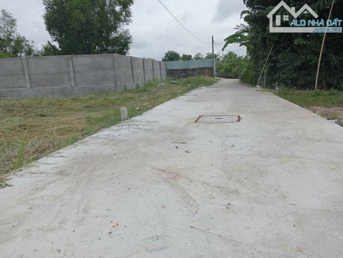 500m đất vườn mặt tiền đường Ngõ Xóm Phước Hậu Cần Giuộc - 3