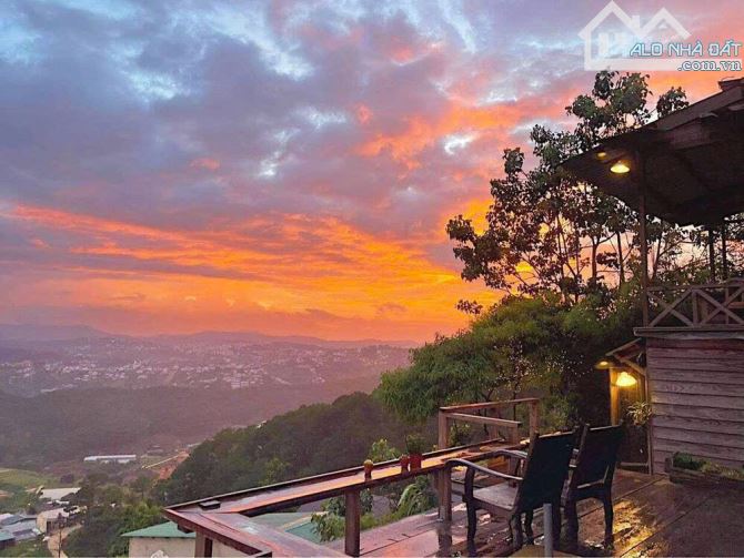 Bán Lô Đất Biệt Thự Full Thổ Cư TP Đà Lạt 220m2 Giá Chỉ 5 Tỷ 490 triệu - 3