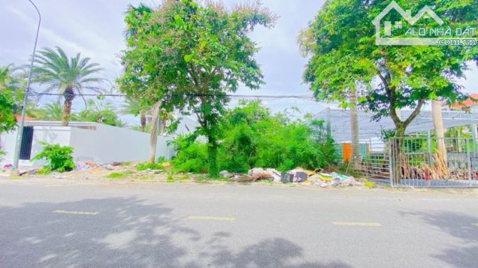 Cho thuê đất 1.500 m2  khu biệt thự Cồn Khương 30 triệu - 3