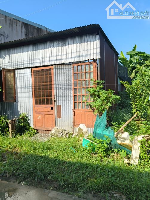 Bán đất trung tâm Phước Tân, Biên Hòa DT: 5x21 chỉ 460tr - 5
