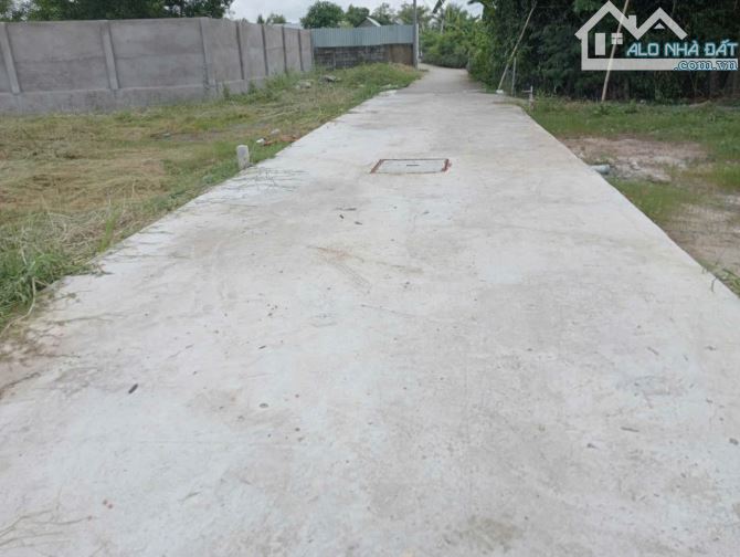 500m đất vườn mặt tiền đường Ngõ Xóm Phước Hậu Cần Giuộc - 6