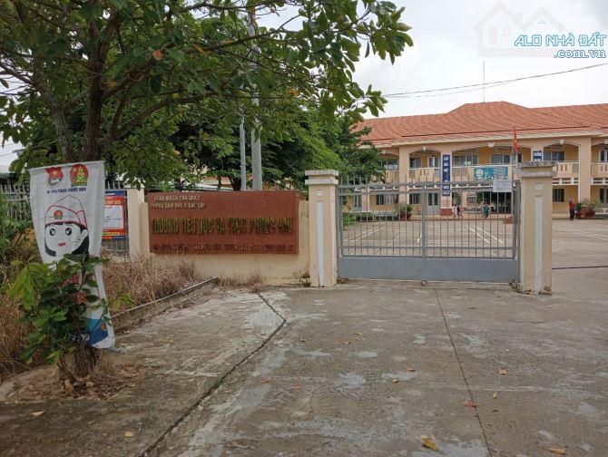 500m đất vườn mặt tiền đường Ngõ Xóm Phước Hậu Cần Giuộc - 7