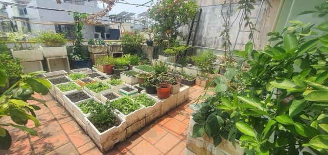 Bán nhà 5 tầng lô góc mặt tiền Nguyễn Trường Tộ , 100 m2   -Giá 16 tỷ P Tân Thành -Tân Phú - 7