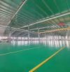 XT382 Cho thuê kho Logistics Trong KCN Tam Phước Tp. Biên Hòa Tỉnh Đồng nai - Giá thuê 310