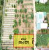 🏡 BÁN ĐẤT BIỆT LẬP – XÃ ĐÔNG THANH, LÂM HÀ - 1 TỶ 380 TRIỆU