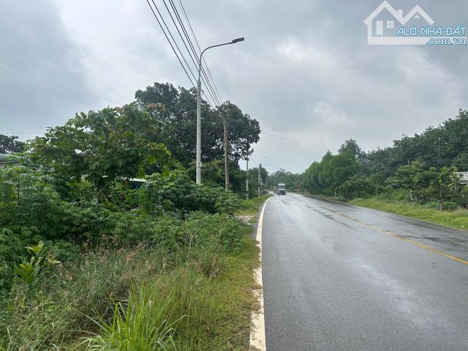 🌟 BÁN ĐẤT ĐẸP 10m MẶT TIỀN 768 – TRỊ AN, SỔ RIÊNG, 100 THỔ CƯ 🌟 - 2