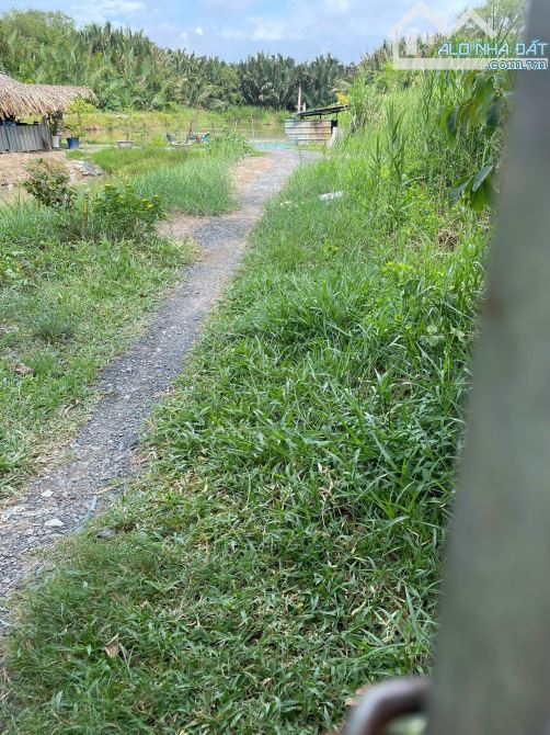 ĐẤT VƯỜN NHÀ BÈ 5,4TR/M2 ĐƯỜNG NGÔ QUANG THẮM GẦN TRƯỜNG AIS