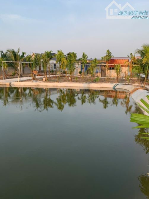 Bán đất nhà vườn tại Tân Phong gần 2000m