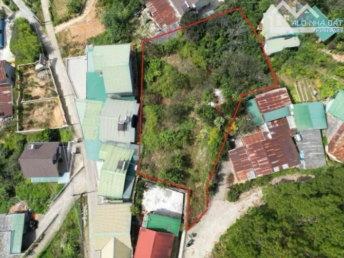 655m2 Đất View thông xanh Hoàng Hoa Thám Phường 10 Đà Lạt 12 Tỷ