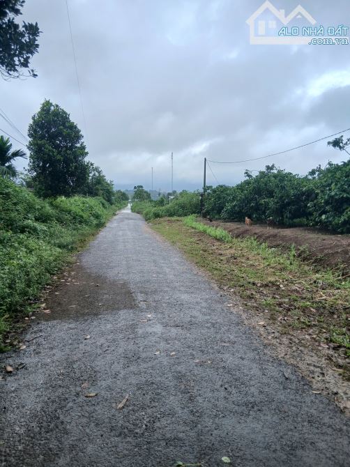 3000m2 ĐẤT mặt tiền Hàn Thuyên