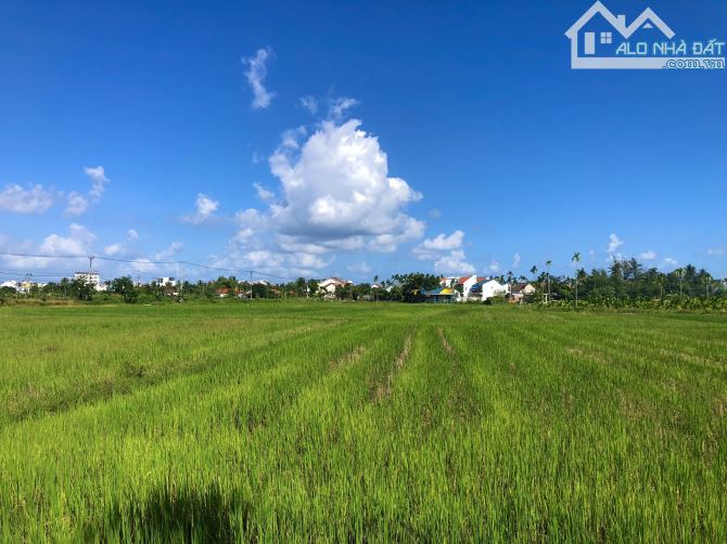 Có 1 không 2 sở hữu View Lúa Mặt tiền Đường Trần Nhân Tông - Hội An. Giá 3x triệu/m (MS394
