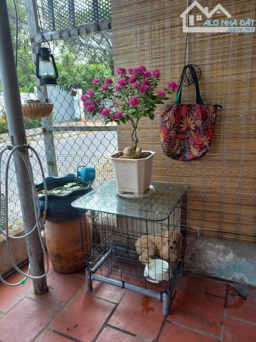 Bán nhà cấp 4 (5x25m), mặt tiền Bình Nhâm 62 p. Bình Nhâm - 10