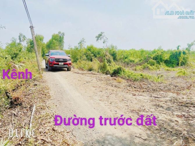 😘😘 HẠ SỐC!! BÁN 13.193MV. ĐẤT VƯỜN BẾN LỨC MT KÊNH Ô TÔ GIÁ CÒN 335TR/1000MV - 4