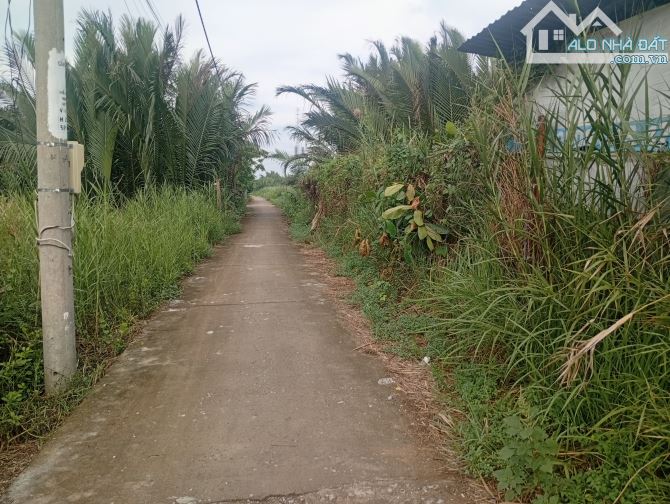 Bán đất DT 962.4m có thổ cư, 290m + nhà yến. Xã Bình Khánh cần giờ TP HCM - 1