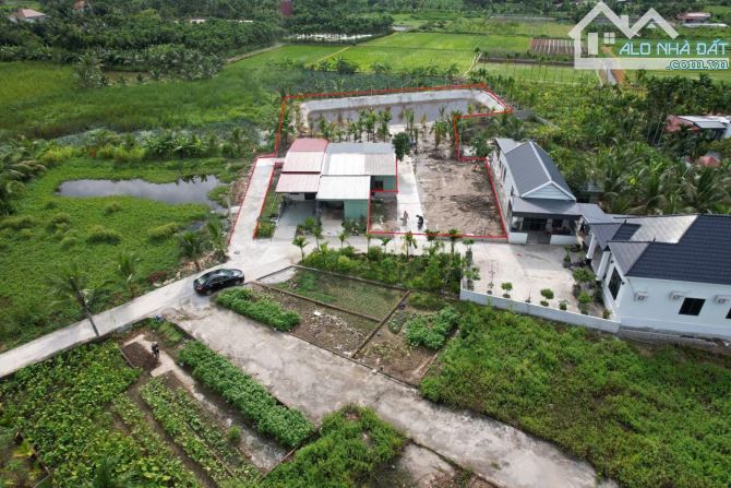 Bán đất nhà vườn tại Tân Phong gần 2000m - 1
