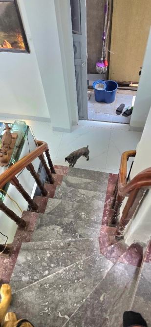 NGUYỄN TRÃI THANH XUÂN NHÀ ĐẸP 5 TẦNG LÔ GÓC KINH DOANH AN NINH TỐT 42m 8 TỶ - 1