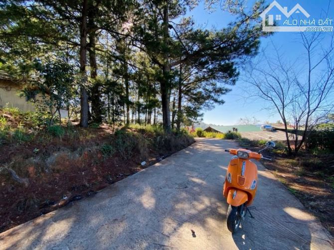 655m2 Đất View thông xanh Hoàng Hoa Thám Phường 10 Đà Lạt 12 Tỷ - 1