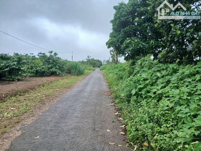 3000m2 ĐẤT mặt tiền Hàn Thuyên - 1