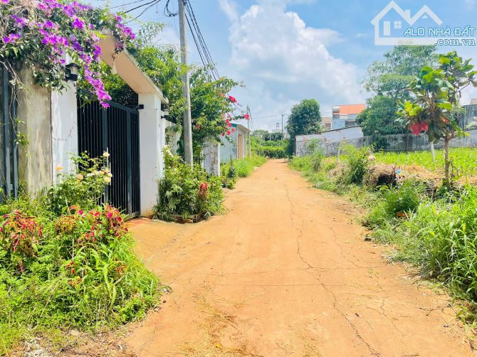 💥Đất TC 10*30m,hẻm 427 Ymoan,rất gần đg chính ymoan - 1