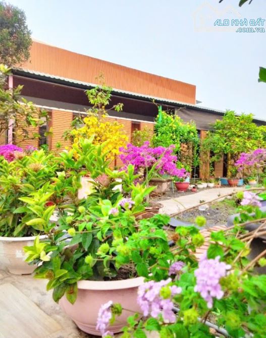Chỉ 3.9 tỷ nhà vuờn siêu xịn sò 20x50.. Cách  Giồng Lớn khoảng 100m thuộC MHN LONG AN - 2
