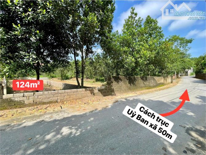 🌟 SIÊU PHẨM ĐẤT NỀN – VỊ TRÍ VÀNG TRỤC CHÍNH TRẠI LÁNG 🌟 GẦN TOMODACHI LÀNG MÍT – SÁT TỔ - 2