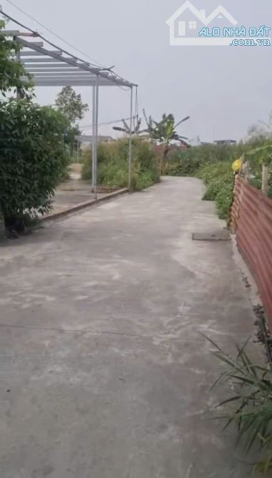 Bán 89m2 đất Xích Thổ Hồng Thái An Dương - 2